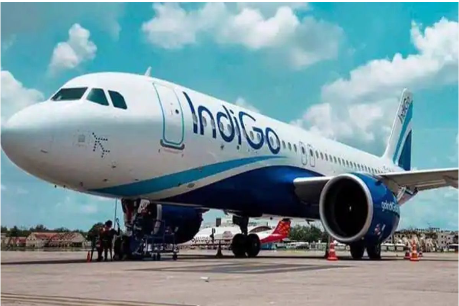 Best 11 Embrace Style with CPTR in Indigo Apparel Choices
