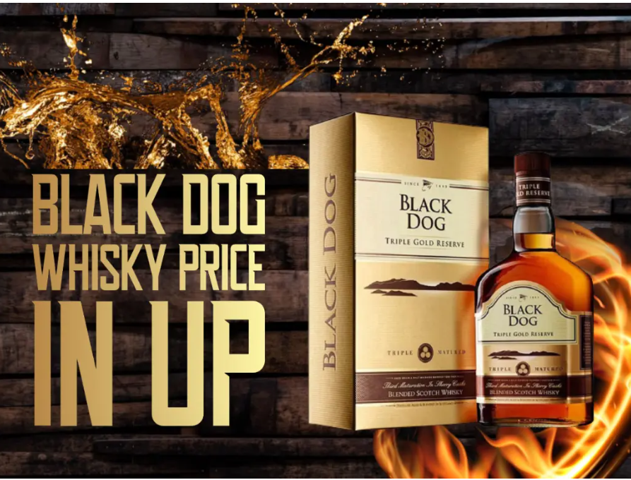 black dog price in India