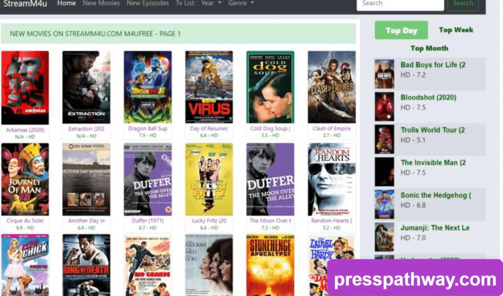 StreamM4u in 2024: Is It Safe? Explore Best Legal Alternatives! 2 StreamM4u Usage